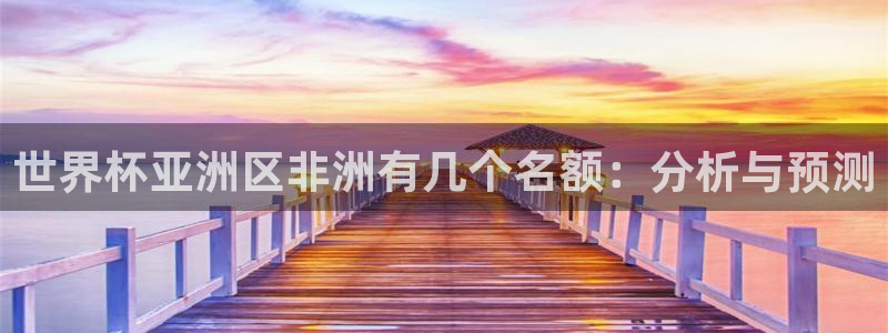 世界杯直播网站：世界杯亚洲区非洲有几个名额：分析与预测