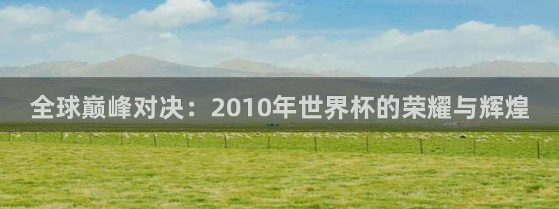 2026年世界杯：全球巅峰对决：2010年世界杯的荣耀与辉煌