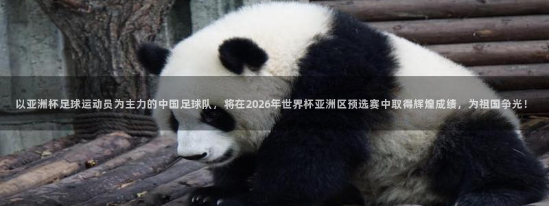 世界杯亚洲区预选赛：以亚洲杯足球运动员为主力的中国足球队，将在2026年世界杯亚洲区预选赛中取得辉煌成绩，为祖国争光！