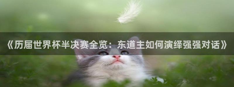 男足世界杯预选赛赛程：《历届世界杯半决赛全览：东道主如何演绎强强对话》